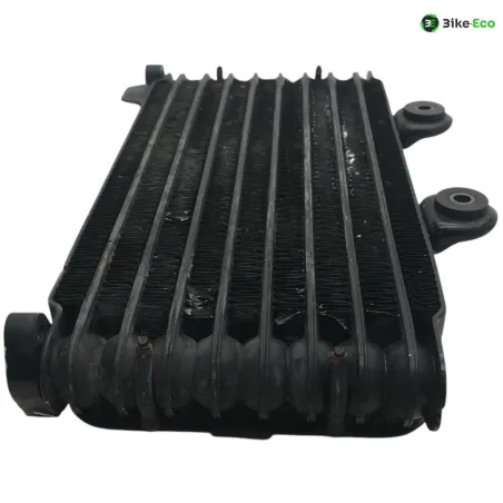 Radiateur huile SUZUKI GSF 600 2000-2004 BANDIT S