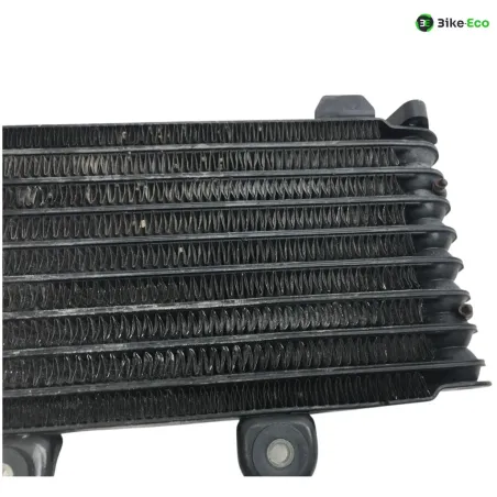 Radiateur huile SUZUKI GSF 600 2000-2004 BANDIT S