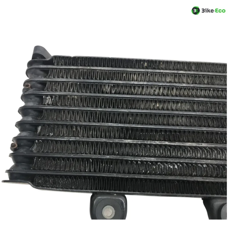 Radiateur huile SUZUKI GSF 600 2000-2004 BANDIT S