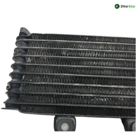 Radiateur huile SUZUKI GSF 600 2000-2004 BANDIT S