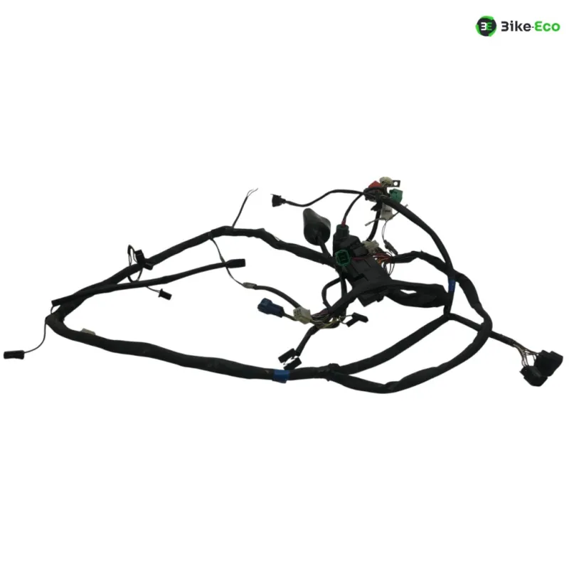 Faisceau electrique SUZUKI GSF 600 2000-2004 BANDIT S