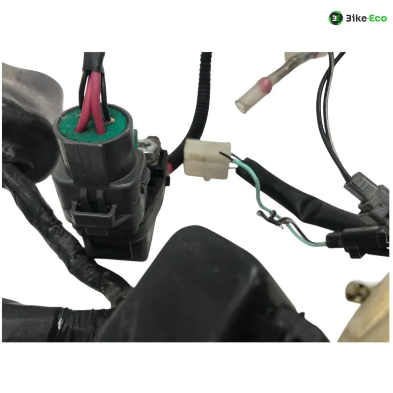 Faisceau electrique SUZUKI GSF 600 2000-2004 BANDIT S