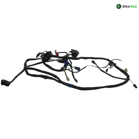 Faisceau electrique SUZUKI GSF 600 2000-2004 BANDIT S
