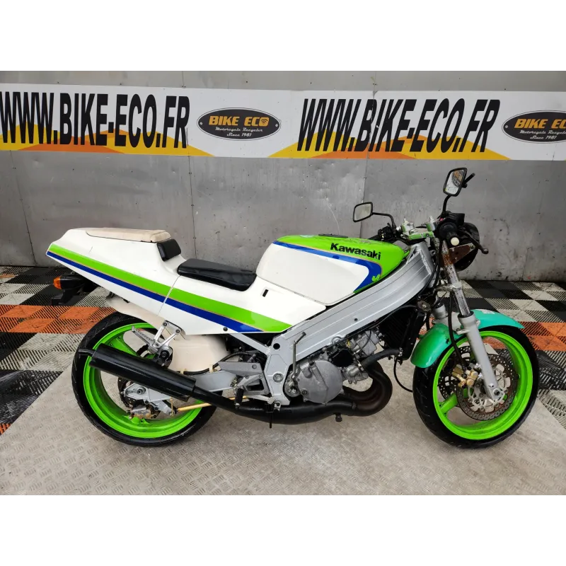 KAWASAKI KR1 250