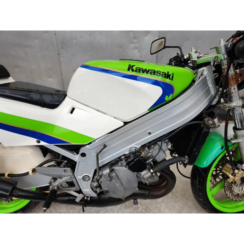 KAWASAKI KR1 250
