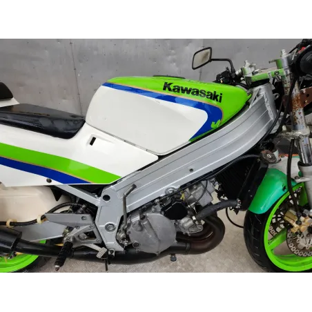 KAWASAKI KR1 250