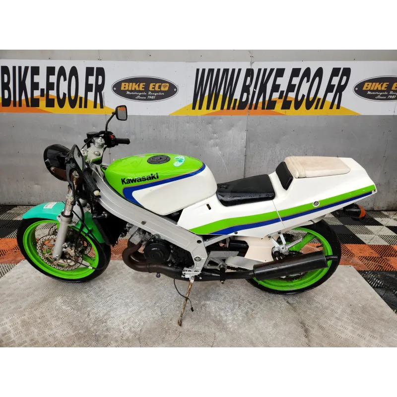 KAWASAKI KR1 250