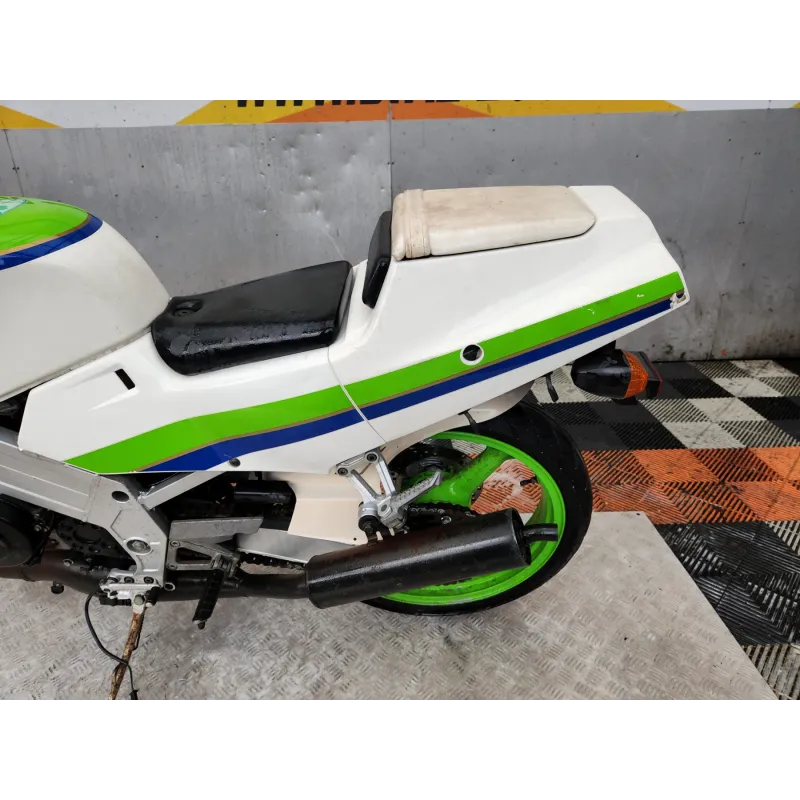 KAWASAKI KR1 250