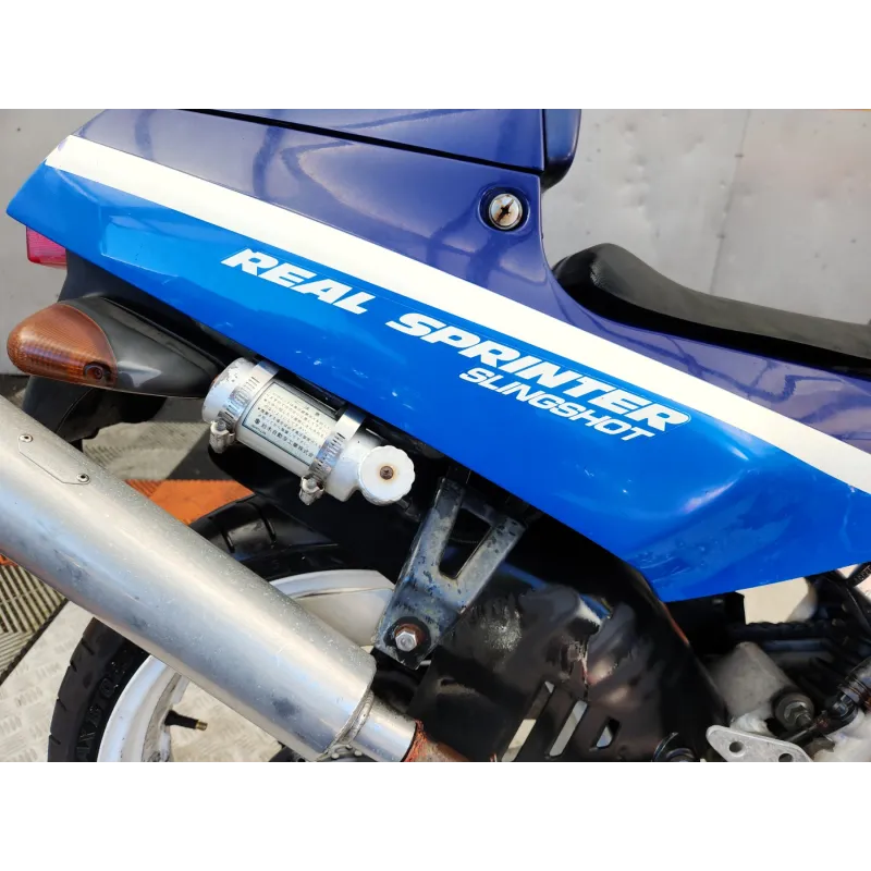SUZUKI RGV 250