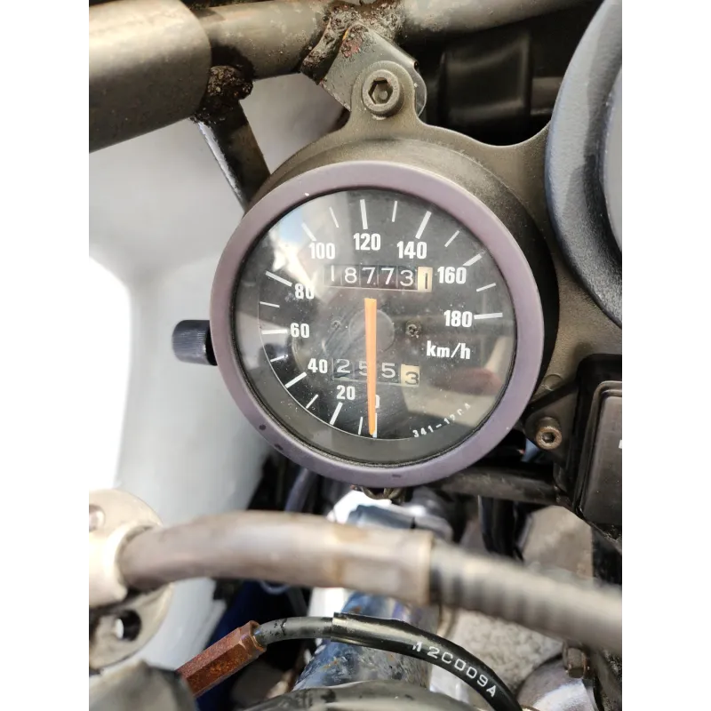 SUZUKI RGV 250