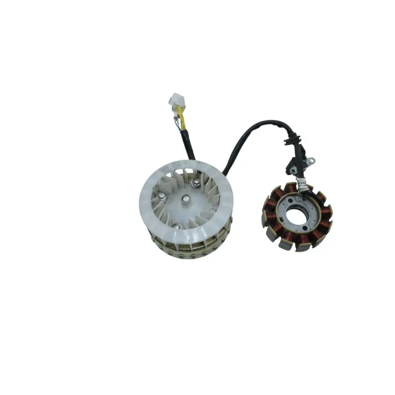 Rotor volant moteur MASH CITY 50 2023 - 2023