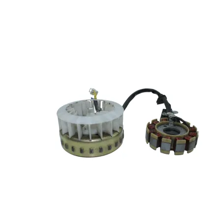 Rotor volant moteur MASH CITY 50 2023 - 2023