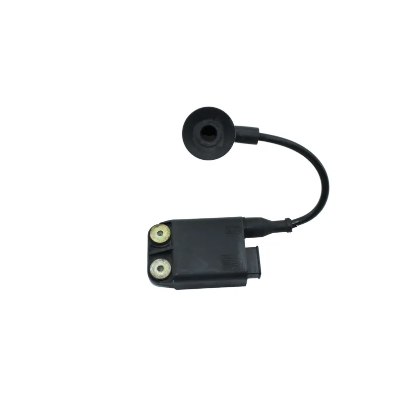 Boitier cdi PIAGGIO VESPA 50 S 2007 - 2014