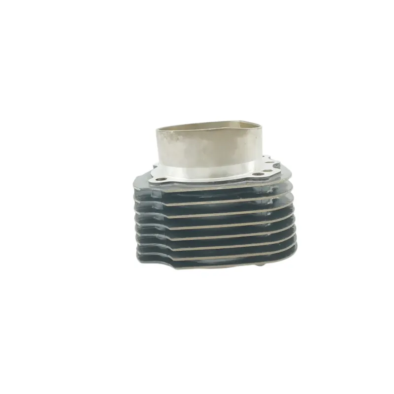 Cylindre BMW R 1200 CL 2002 - 2005