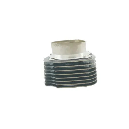 Cylindre BMW R 1200 CL 2002 - 2005