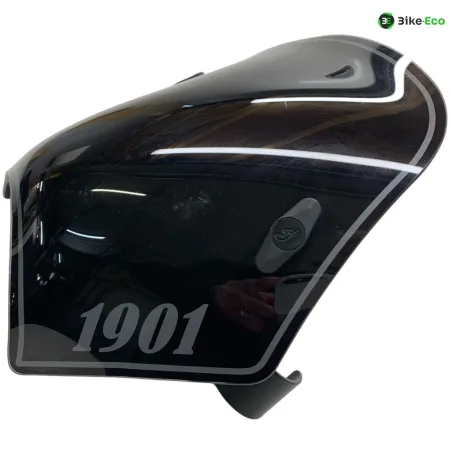 Bulle INDIAN SCOUT 999 2020-2024 BOBBER SIXTY