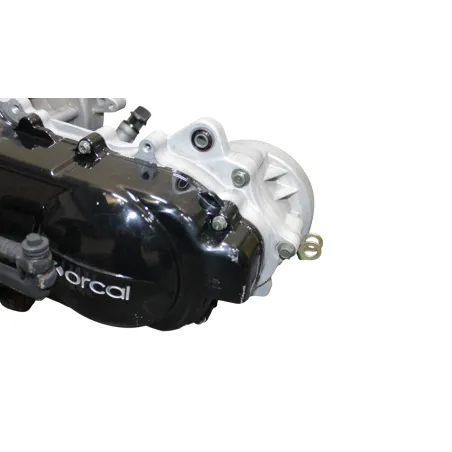 Moteur ORCAL KITE 50 2018 -2022