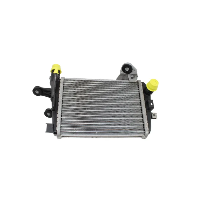 Radiateur eau gauche BMW R 1200 GS ADVENTURE 2014 - 2018