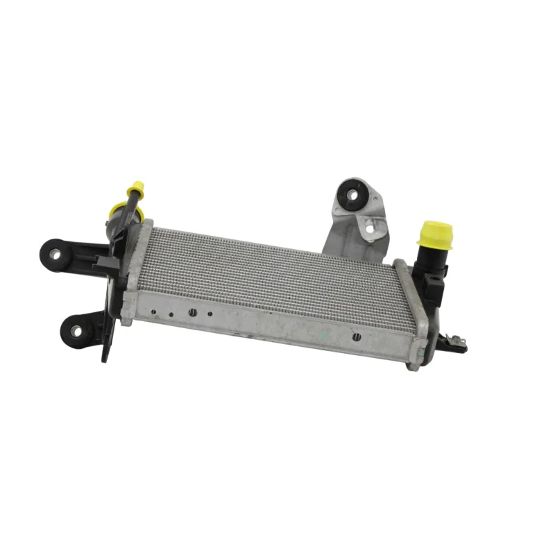 Radiateur eau gauche BMW R 1200 GS ADVENTURE 2014 - 2018