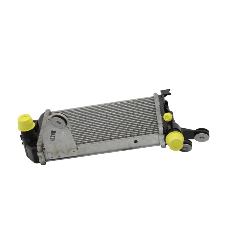 Radiateur eau gauche BMW R 1200 GS ADVENTURE 2014 - 2018