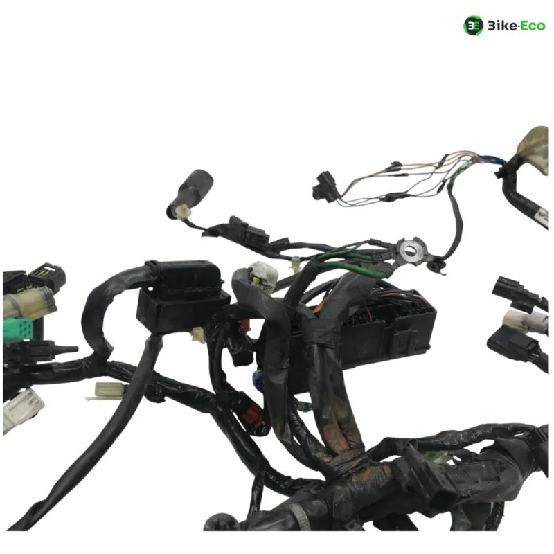Faisceau electrique HONDA NSS 125 2019-2020 FORZA