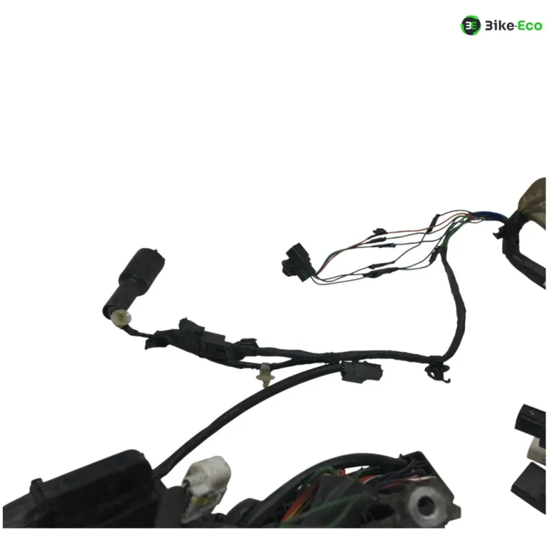 Faisceau electrique HONDA NSS 125 2019-2020 FORZA