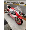 YAMAHA TZ 250