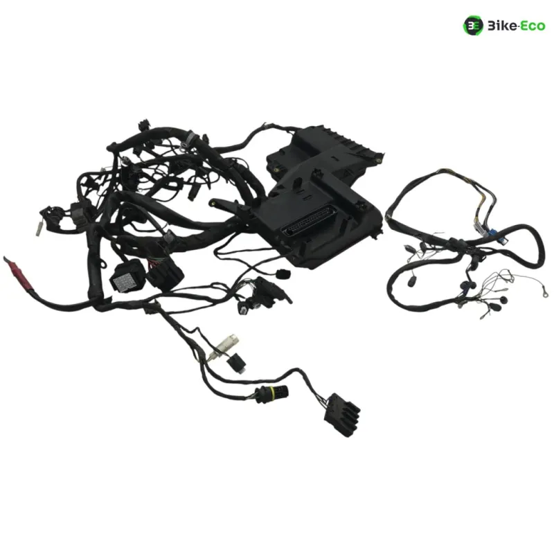 Faisceau electrique BMW K 1200 GT 2002-2005