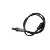 Sonde lambda KAWASAKI ZX6R 636 NINJA ABS 2024 - 2026