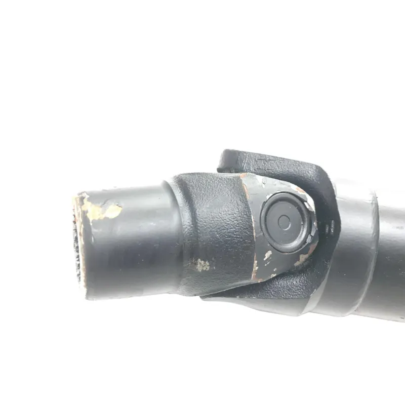 Cardan BMW R 1250 R 2019-2024
