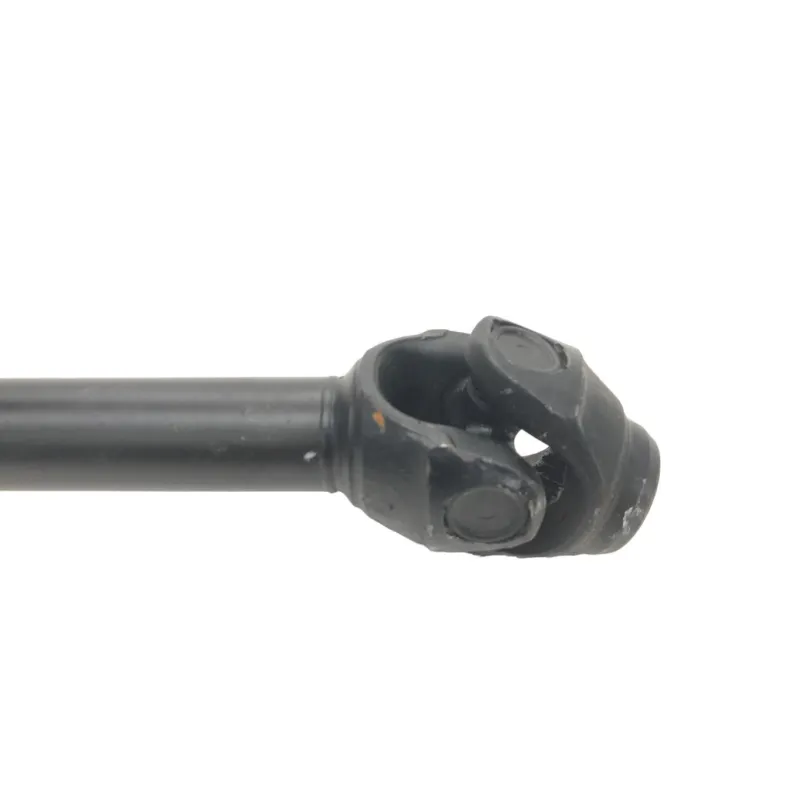 Cardan BMW R 1250 R 2019-2024