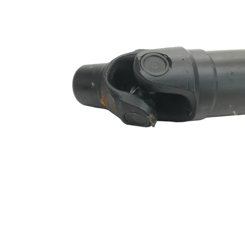 Cardan BMW R 1250 R 2019-2024
