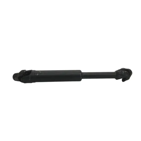 Cardan BMW R 1250 R 2019-2024