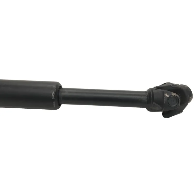 Cardan BMW R 1250 R 2019-2024