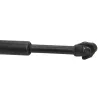 Cardan BMW R 1250 R 2019-2024
