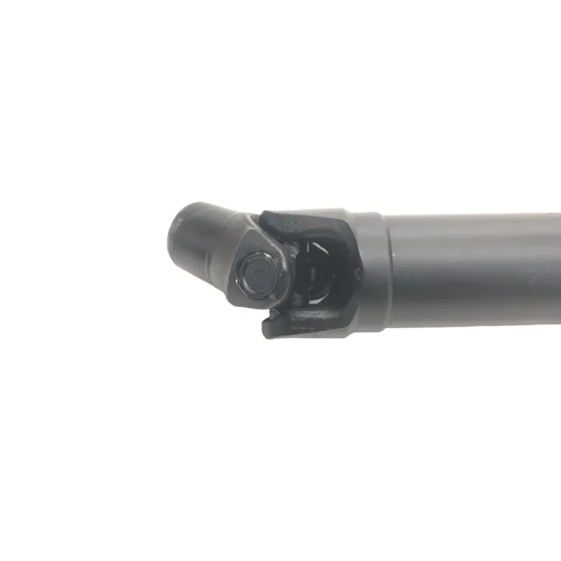 Cardan BMW R 1250 R 2019-2024