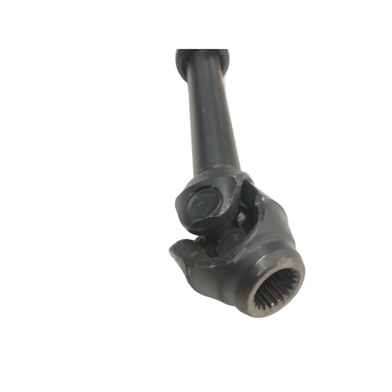 Cardan BMW R 1250 R 2019-2024