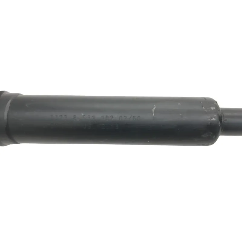 Cardan BMW R 1250 R 2019-2024