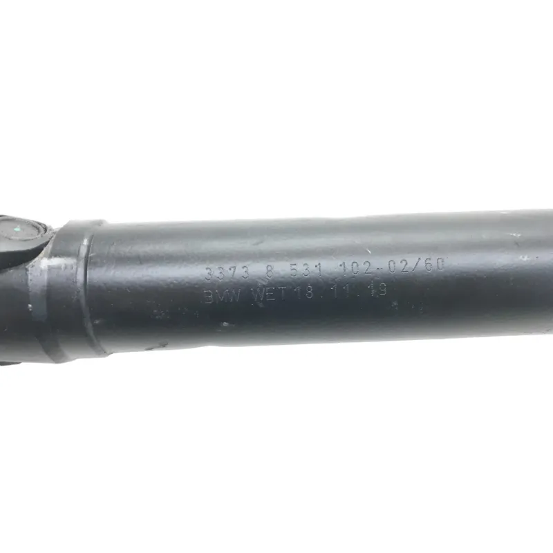 Cardan BMW R 1250 R 2019-2024