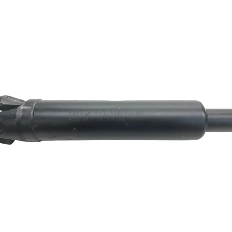 Cardan BMW R 1250 R 2019-2024