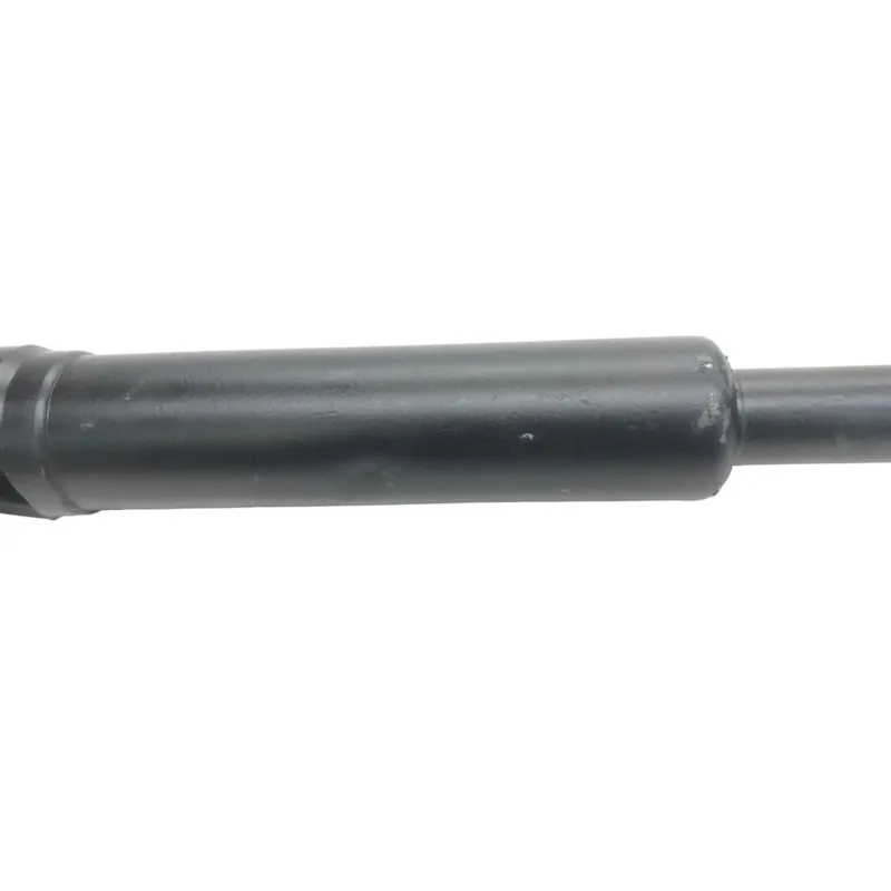 Cardan BMW R 1250 R 2019-2024