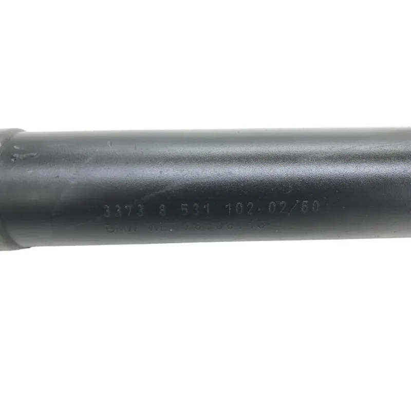 Cardan BMW R 1250 R 2019-2024