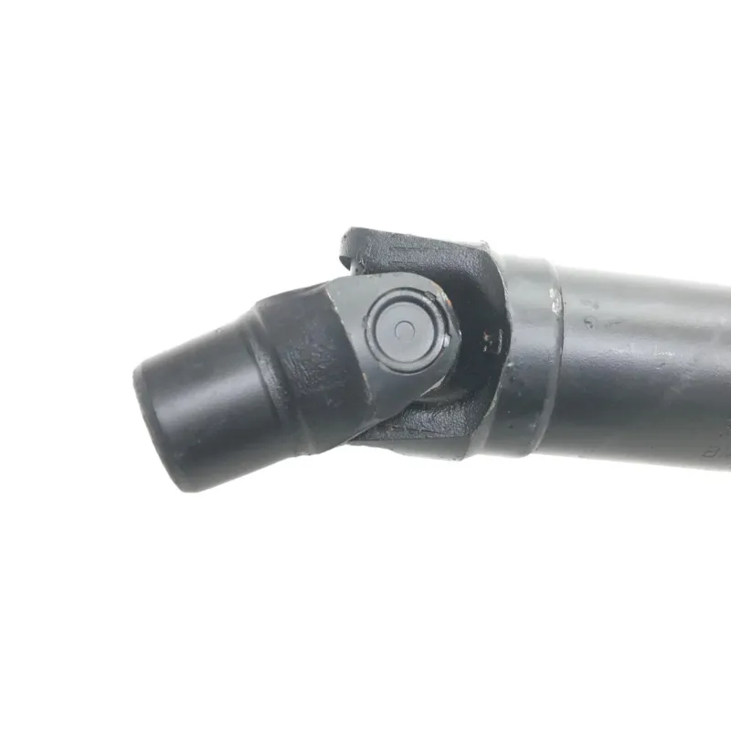 Cardan BMW R 1250 R 2019-2024