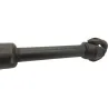 Cardan BMW R 1250 R 2019-2024