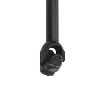 Cardan BMW R 1250 R 2019-2024