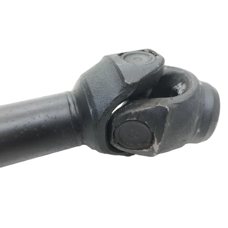 Cardan BMW R 1250 R 2019-2024