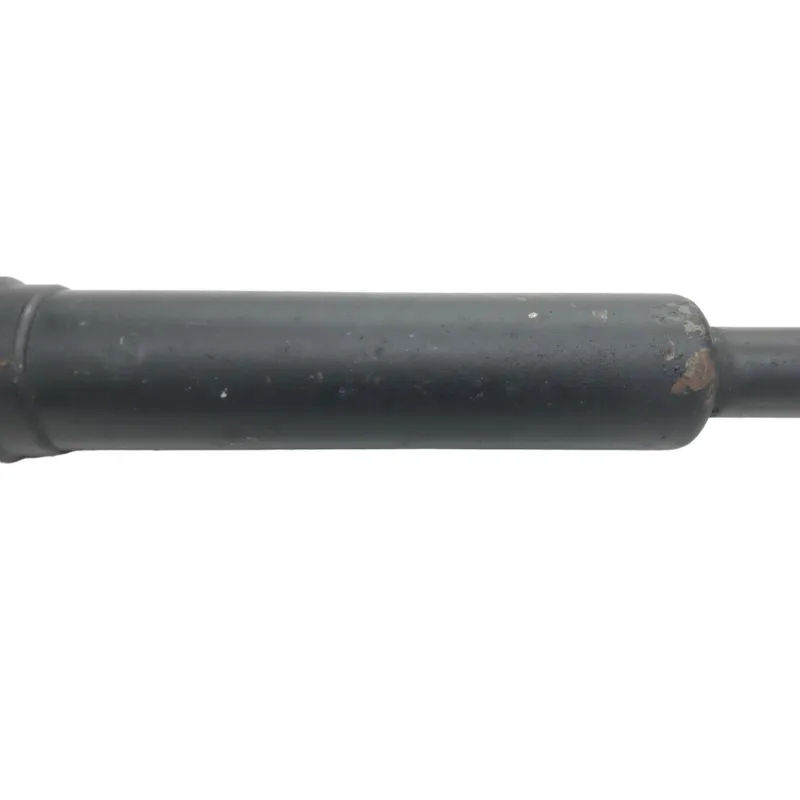 Cardan BMW R 1250 R 2019-2024