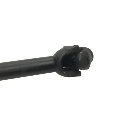 Cardan BMW R 1250 R 2019-2024