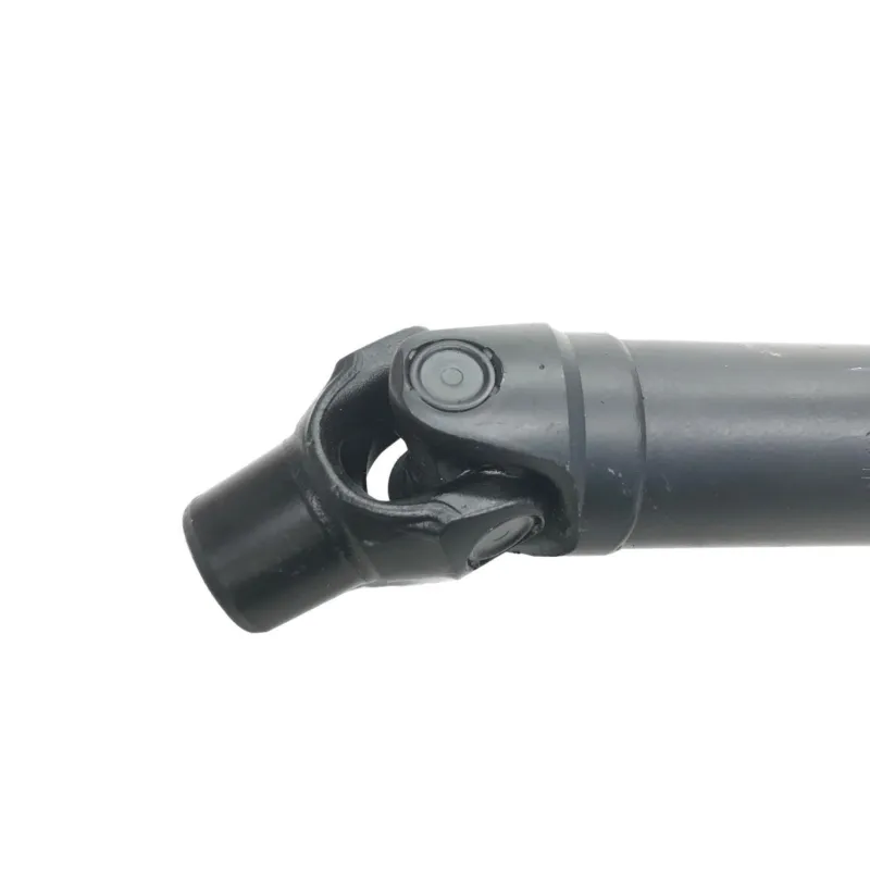 Cardan BMW R 1250 R 2019-2024