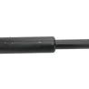 Cardan BMW R 1250 R 2019-2024